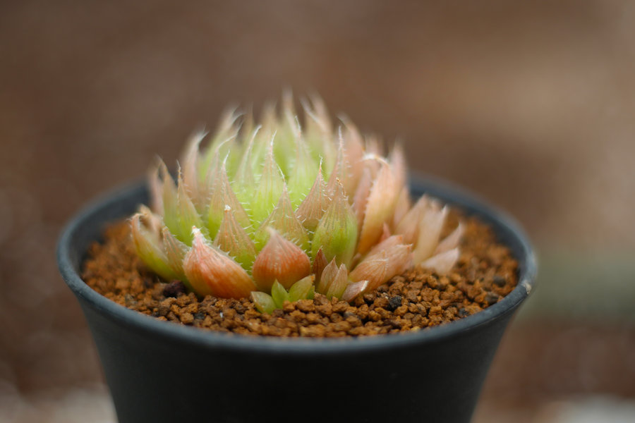 ���u�k�����b��